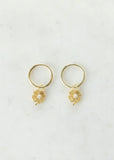 Earrings | Lily Sleeper (Gold)