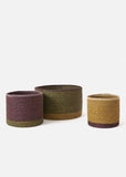 Basket | Large Pinto Storage (Ivy/Multi)