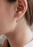 Earrings | Lily Sleeper (Gold)
