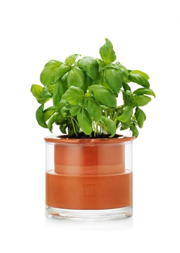 Plant Pot | Self-Watering (Small)