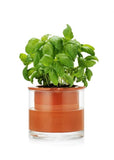 Plant Pot | Self-Watering (Small)