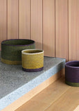Basket | Large Pinto Storage (Ivy/Multi)
