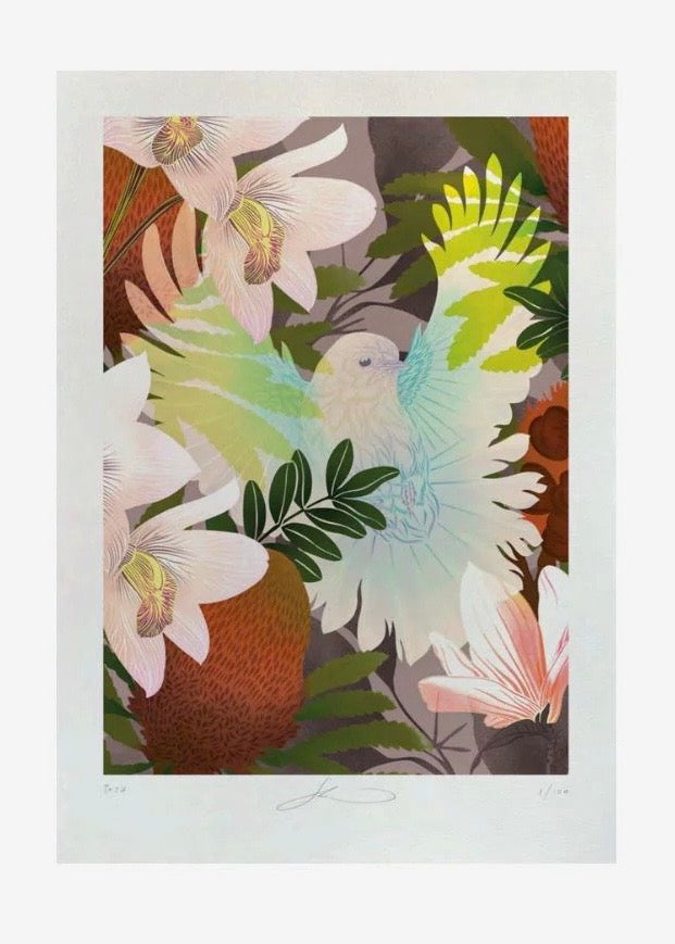 Print | White Fantail & Banksia (A4)