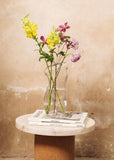 Vase | Body (Glass)
