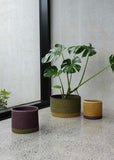 Basket | Large Pinto Storage (Ivy/Multi)
