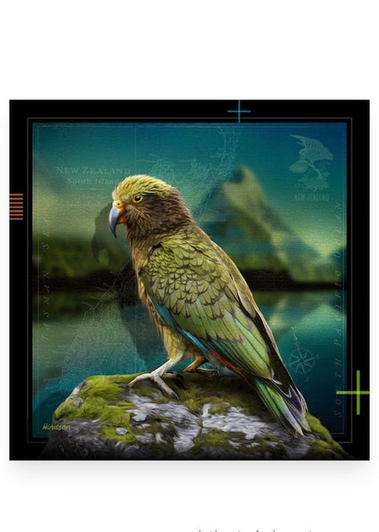 Card | Kea (Julian Hindson)