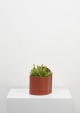 Planter | Sol (Terracotta)
