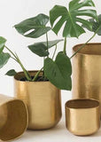 Planter | Gava Square (Antique Brass)