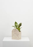 Planter | Sol (Fossil Terrazzo)