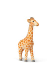 Animal | Hand Carved