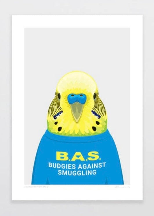 Art Print | Animals in T-shirts - Budgie