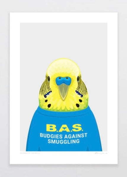 Art Print | Animals in T-shirts - Budgie