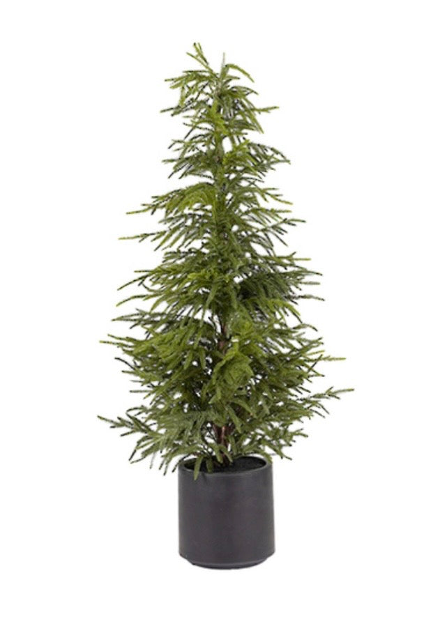 Tree | Pine (Large)