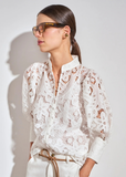 Top | Depart (Elm)