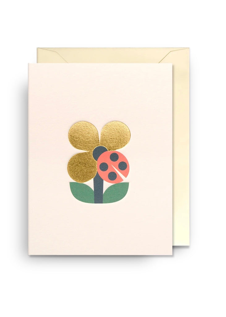 Card | Ladybird