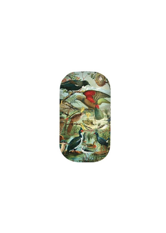 Trinket Box | (NZ Native Birds)
