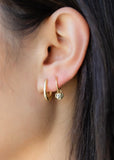 Earrings | Doggie Sleepers (Gold)