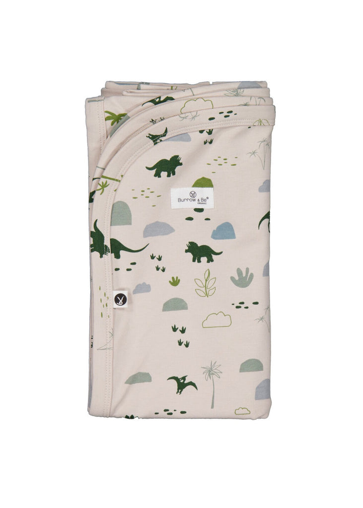 Baby Swaddle | Jurassic Roam