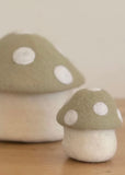 Trinket Box | Toadstool (Sage)