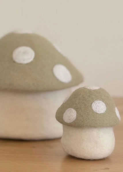Trinket Box | Toadstool (Sage)