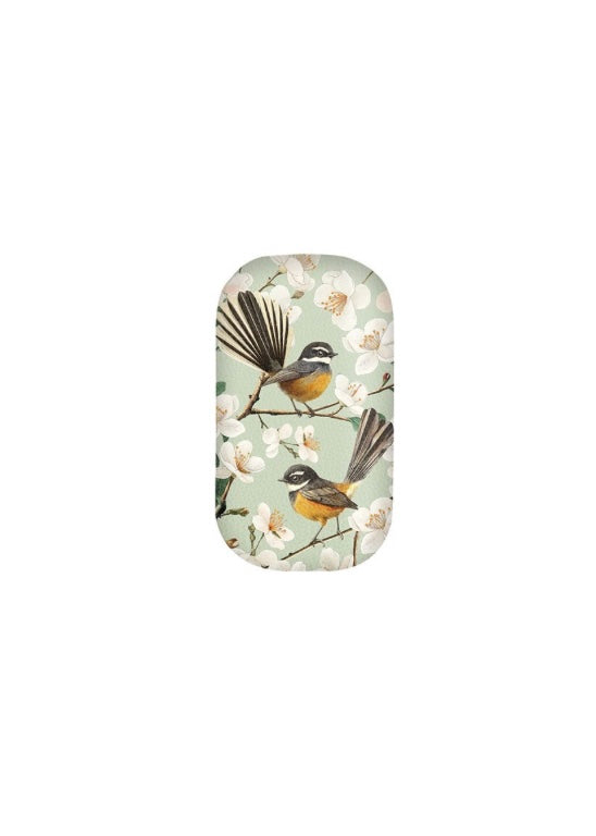 Trinket Box | (Chatty Fantails)