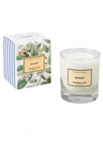 Candle | Bogart
