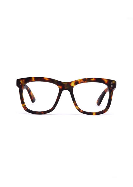 Reading Glasses | 11am (Brown Tort)