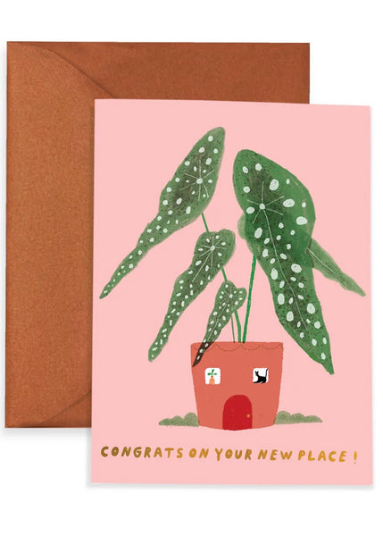 Card | Casita Begonia (Carolyn Suzuki)