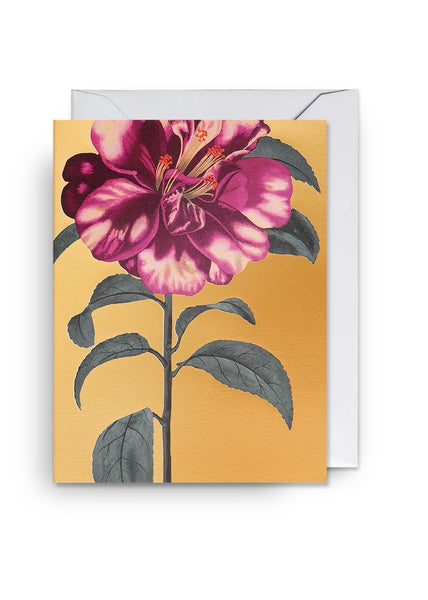 Card | Camelia Japonica