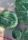 Cabbage Leaf | Green