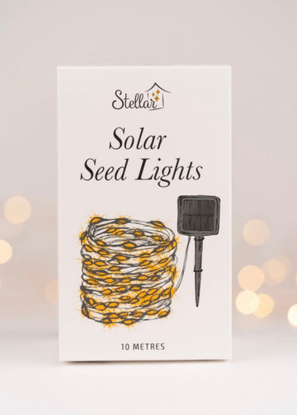 Seed Lights | Solar Power 10M (Silver)