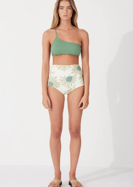 Short | Aloe Flower