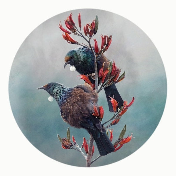 Card | Tui Duet (Nathan Secker)