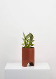 Planter | Archie (Terrazzo Terracotta)