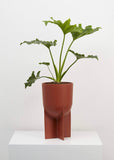 Planter | Tall Eros (Terracotta)